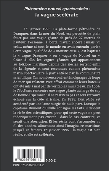 Phénomène naturel spectaculaire : La vague scélérate 2