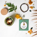 Coffret Signes de Terre 4