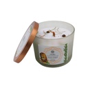 Bougie Litho Green Tree Vitalité - Gingembre - 256 grs 2