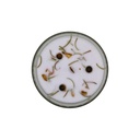 Bougie Litho Green Tree Vitalité - Gingembre - 256 grs 3