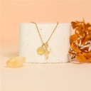 Collier Pierre de Naissance Novembre 5