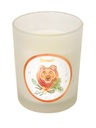 Bougie Totem L'Ours 1