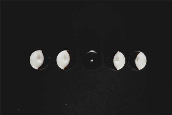 Lot de 5 Bougies chauffe plat Phases de la Lune 6