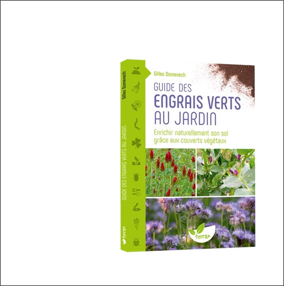 Guide des engrais verts au jardin  Enrichir naturellement son sol grâce aux couverts végétaux 3