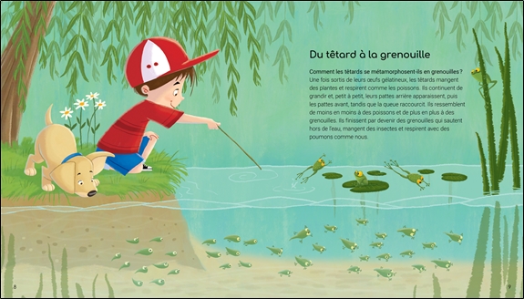 Les merveilles de la nature - 44 secrets fascinants à connaître sur la nature 3