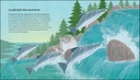 Les merveilles de la nature - 44 secrets fascinants à connaître sur la nature 5