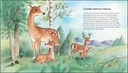 L'incroyable monde des animaux - 44 faits incroyables et captivants sur les animaux 5