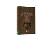 Le Chaudron de Cerridwen - La Magie des légendes galloises 3
