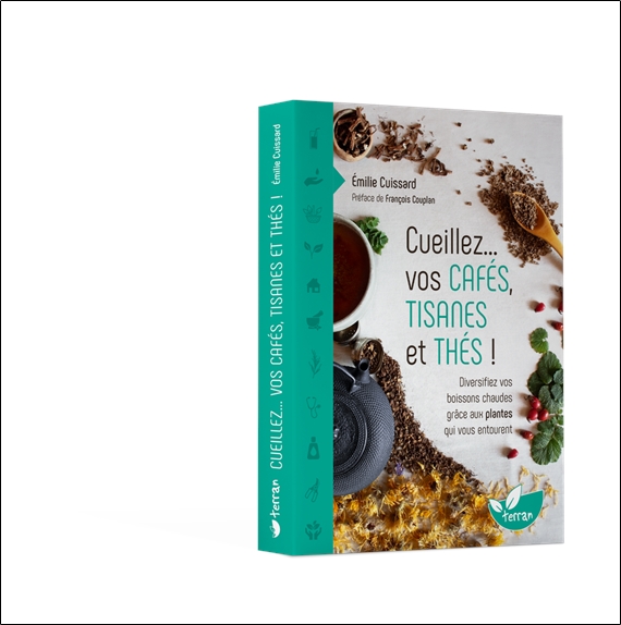 Cueillez vos cafés, tisanes et thés !  Diversifiez vos boissons chaudes grâce aux plantes qui vous entourent 3