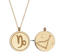 Collier Signe astrologique Capricorne 1