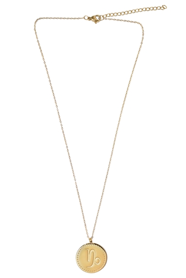 Collier Signe astrologique Capricorne 3