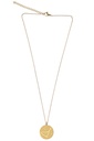 Collier Signe astrologique Capricorne 4
