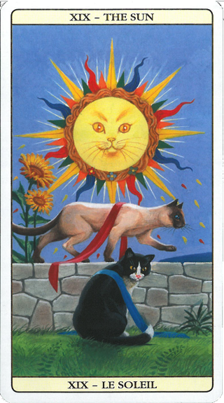 Tarot de Marseille du Chat 6