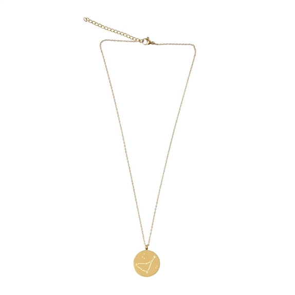 Collier Signe astrologique Capricorne 7