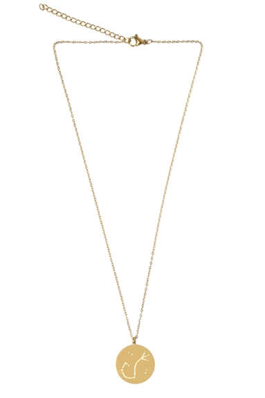 Collier Signe astrologique Scorpion 4