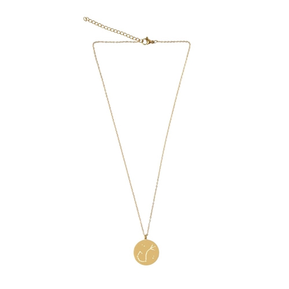 Collier Signe astrologique Scorpion 9