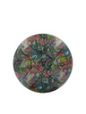Tongue Drum Multicolore 30 cm 2