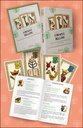 L'Oracle Belline - Les 53 cartes traditionnelles & 1 notice - Coffret 4