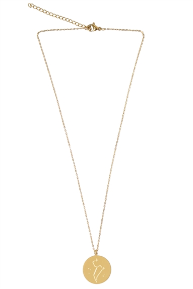 Collier Signe astrologique Lion 4