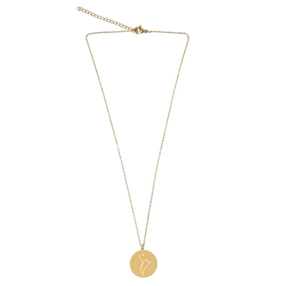 Collier Signe astrologique Lion 9