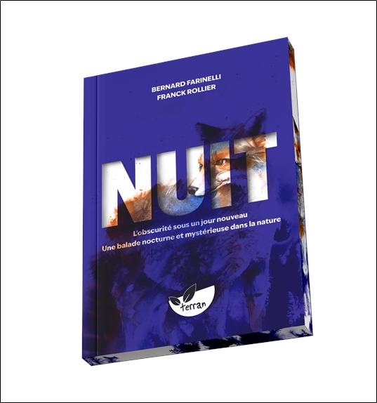 Nuit  L'obscurité sous un jour nouveau - Une balade nocturne et mystérieuse dans la nature 4