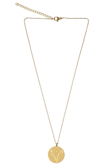 Collier Signe astrologique Poissons 3