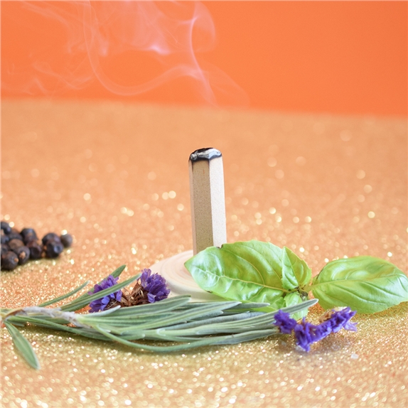 Briques de fumigation et socle Aura positive 4