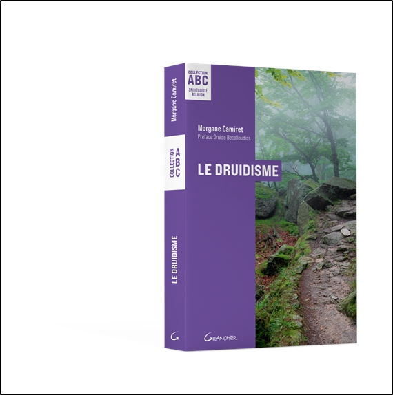 Le Druidisme - ABC - Origines, philosophie et pratiques d'une tradition antique 3