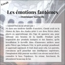 Les émotions fantômes - Choisir enfin de vivre plutôt que de survivre 5