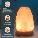 Lampe USB  en Cristal de Sel d'Himalaya Rock — vue de profil