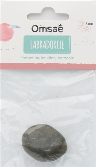 Pierre roulée Labradorite Taille L 2