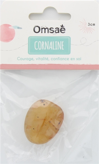 Pierre roulée Cornaline Taille L 2