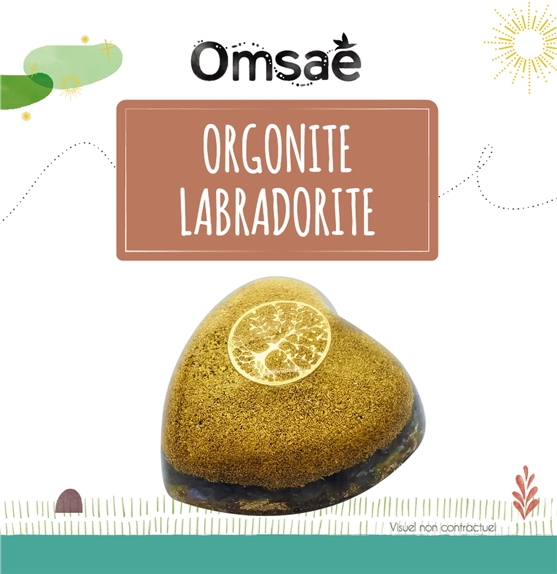 Coeur Orgonite Labradorite Arbre de vie 2