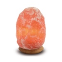 Lampe en Cristal de Sel - Pièce de 4 à 6 kg 3