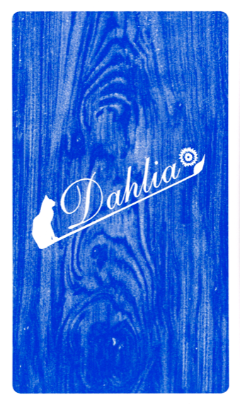 Oracle de Mme Dahlia Oracle des Epingles 4