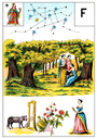 Grand Jeu de Mlle Lenormand 2