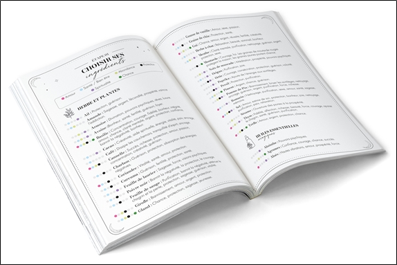 Carnet de Sortilèges - Saupoudrez votre vie de magie 6