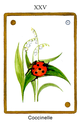 Tarot des Animaux 2