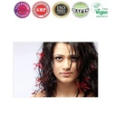 Holy Lama Shampoo Ayurvedique 0