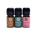 Set d'Huiles Essentielles Aromathérapie Woodsy 0