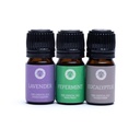 Set d'Huiles Essentielles Aromathérapie Breathe 0