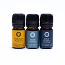 Set d'Huiles Essentielles Aromathérapie Wellness 0