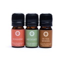 Set d'Huiles Essentielles Aromathérapie Happiness 0