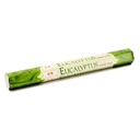 Encens Eucalyptus en boite hexagonale 0