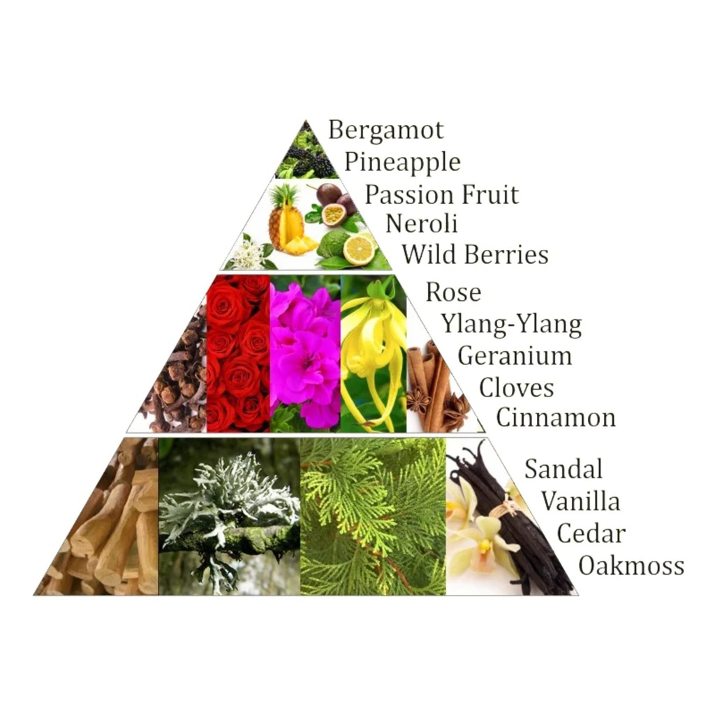 Aromafume briques déncens Chakra 4°chakra 1