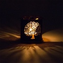 Aromafume brûle encens Exotic arbres de Vie 3