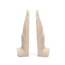 Namaste Mudra Mains avec Bouddhas couleur sable 1