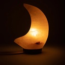 Lampe cristal de sel en forme de lune avec câble et LED 0