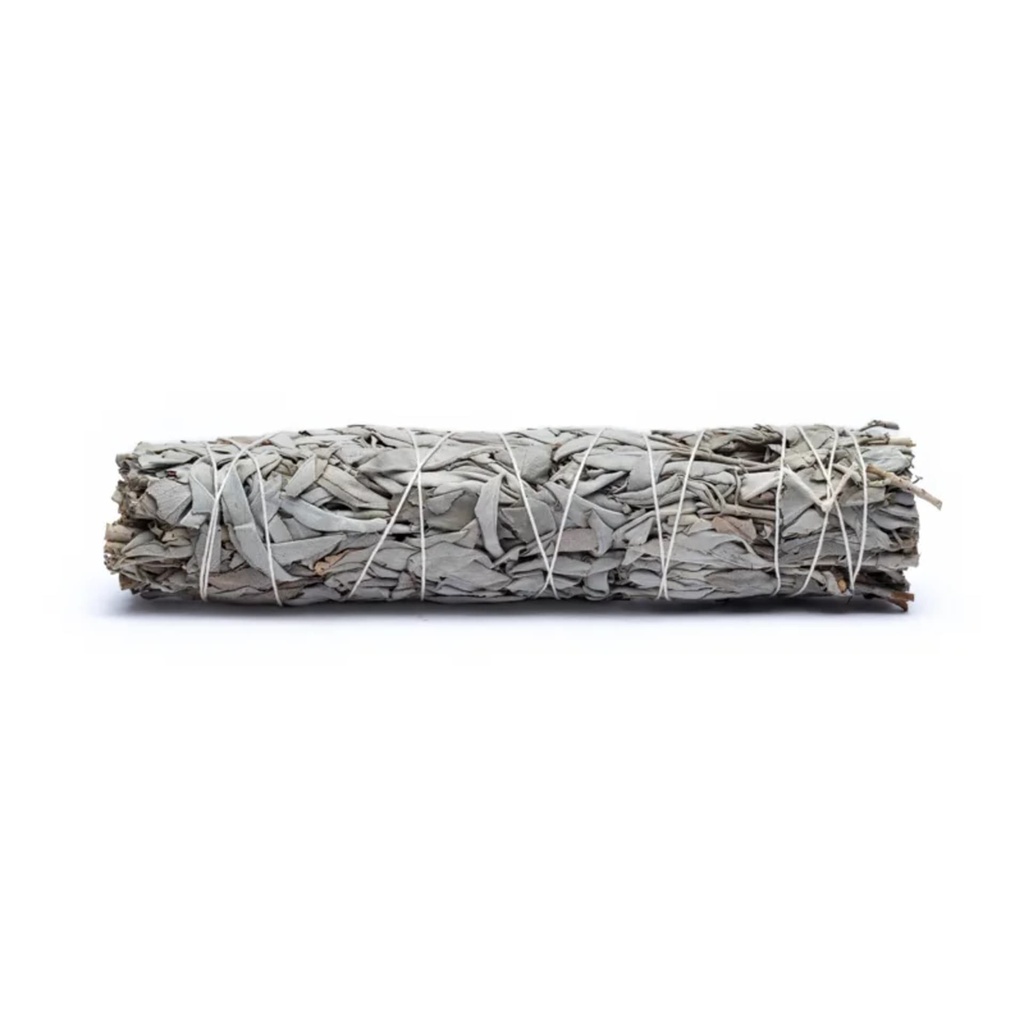 Sauge blanche Smudge XL set de 6 0