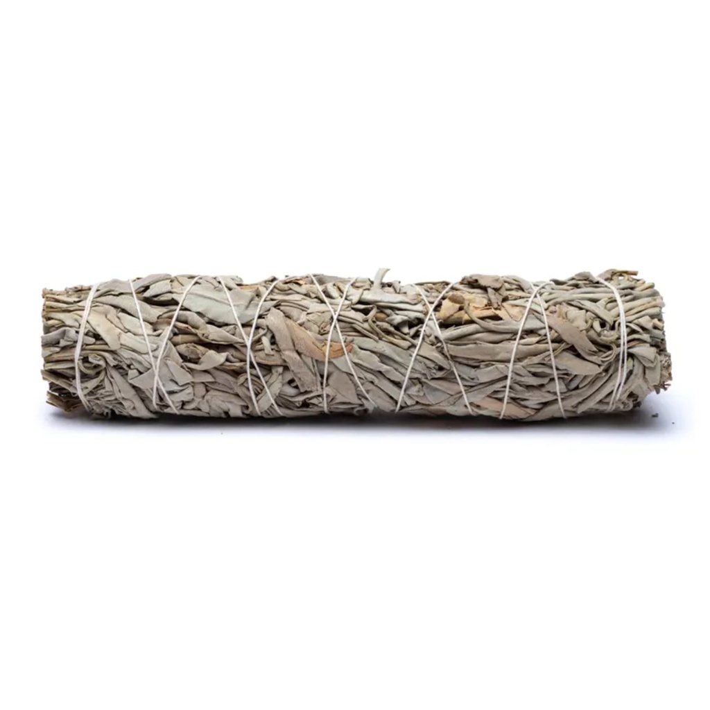 Sauge blanche Smudge XL set de 6 1